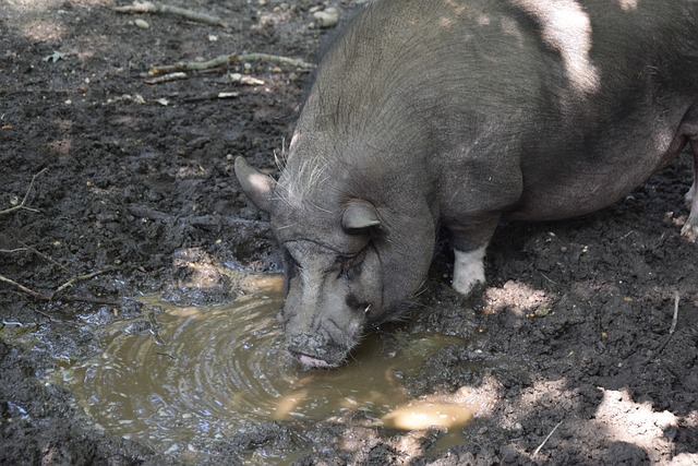 次谈判都如 次谈判都如