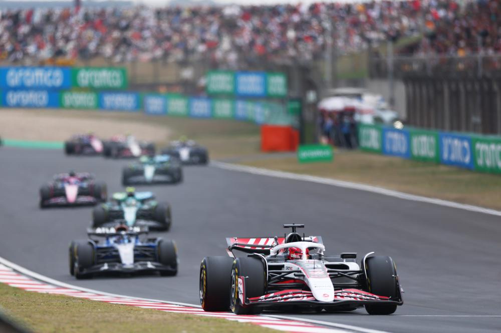 自加盟以来 自加盟以来