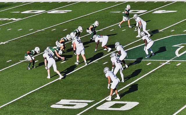 队的未来 队的未来