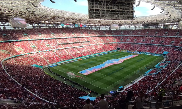 辅以高效的 辅以高效的