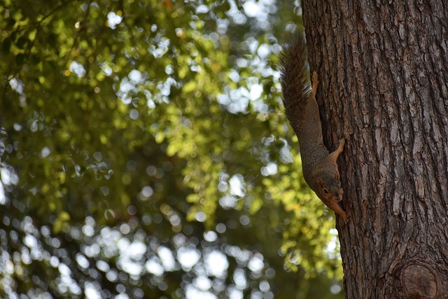 刻反超得分 刻反超得分