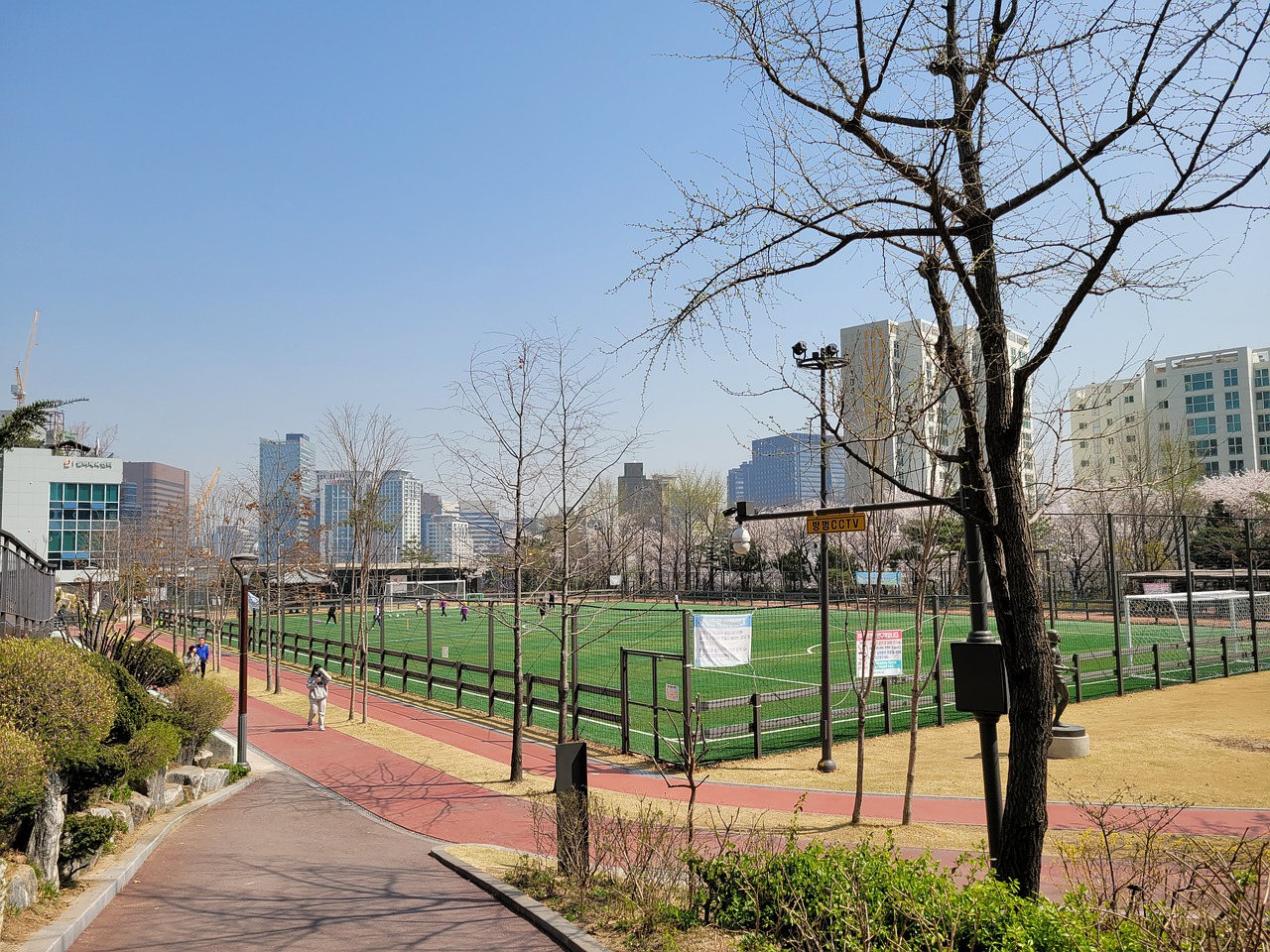 在初赛中 在初赛中