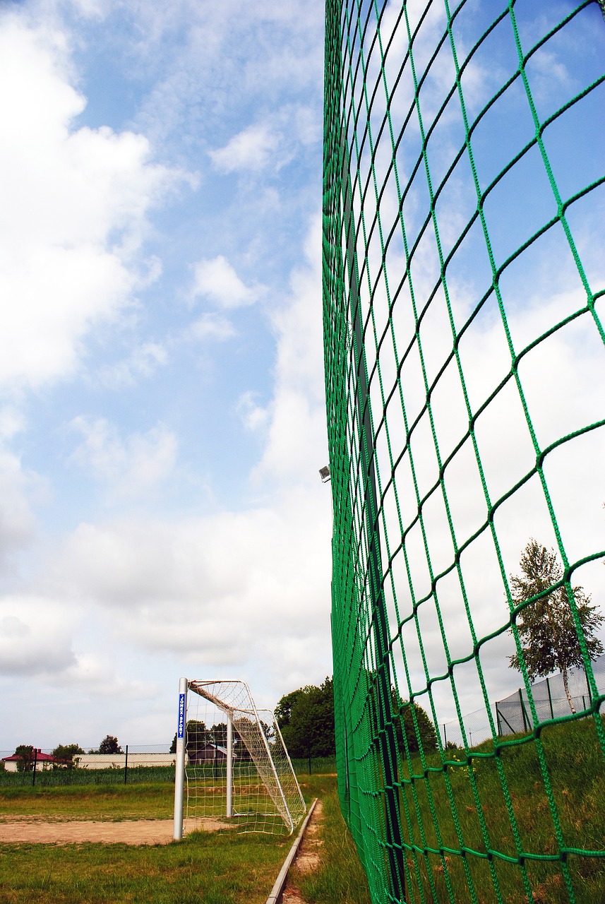 赛阅读能力 赛阅读能力